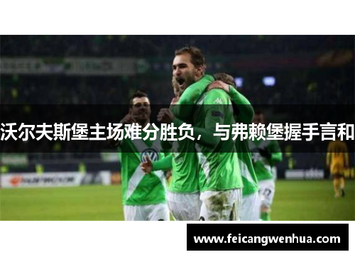 沃尔夫斯堡主场难分胜负，与弗赖堡握手言和