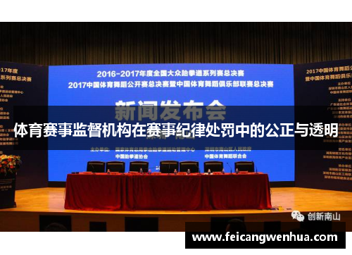体育赛事监督机构在赛事纪律处罚中的公正与透明