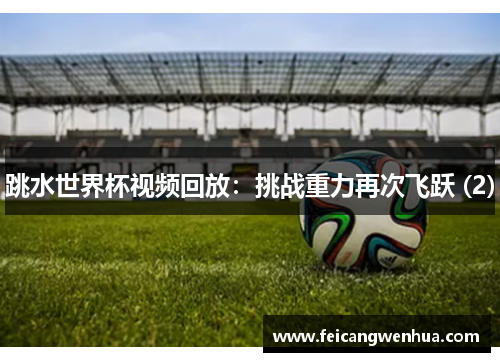 跳水世界杯视频回放：挑战重力再次飞跃 (2)