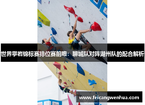 世界攀岩锦标赛排位赛前瞻：聊城队对阵湖州队的配合解析
